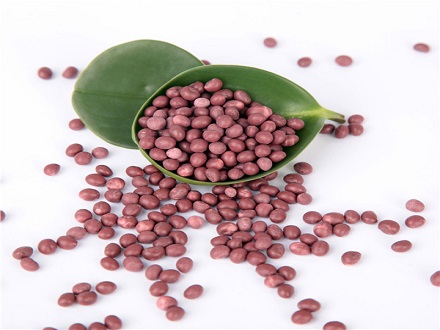 無醛封邊膠 中溫膠1316系列